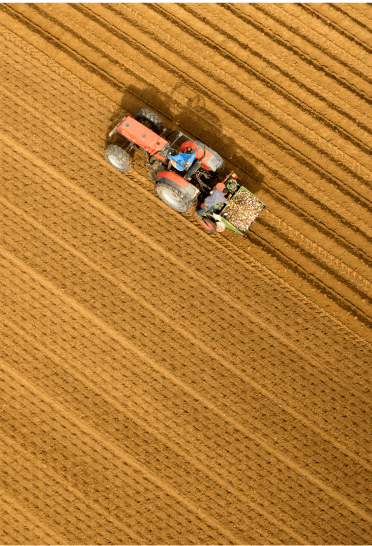 preparación de terrenos agrícolas